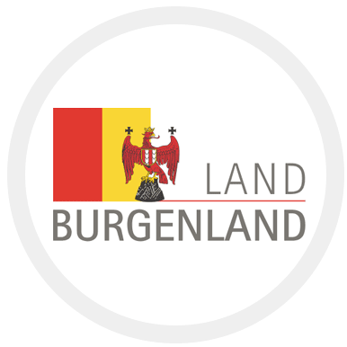 Franz Koch, Erstes Burgenländisches Rechenzentrum (EBRZ), Österreich